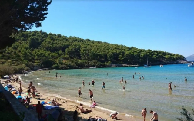 Apartments Miljana - 40m from beach