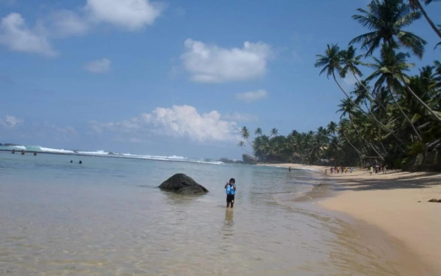 Greenery Lanka