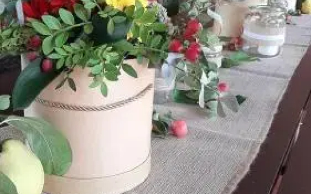 Siedlisko Nad Miedwiem