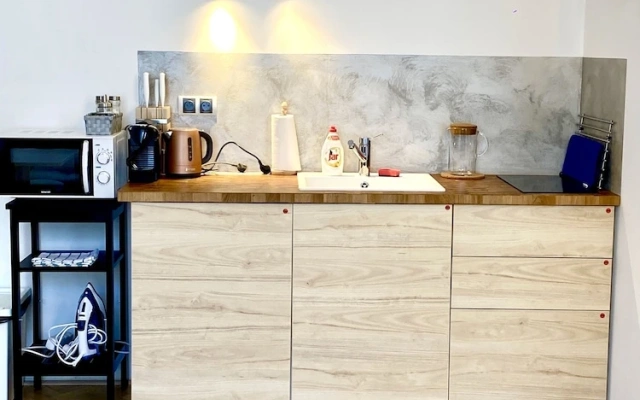 Apartment Opletalova 10