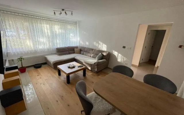 Delux apartment ARSO