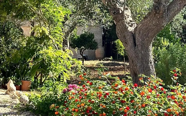 B&B Terra Cesarea
