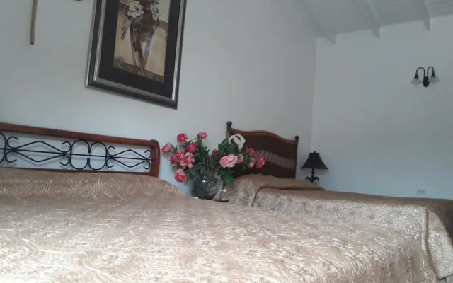 Palmita Hotel Hostel