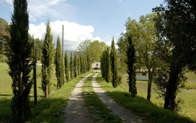 Fattoria Della Nave
