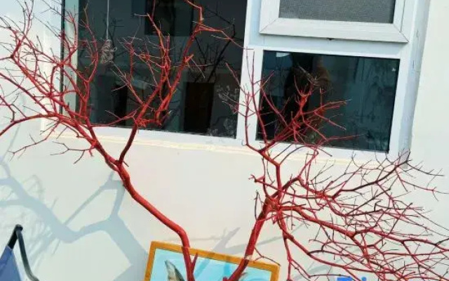 Wuliangtang Healing Art Homestay (Laoshan Scenic Spot)