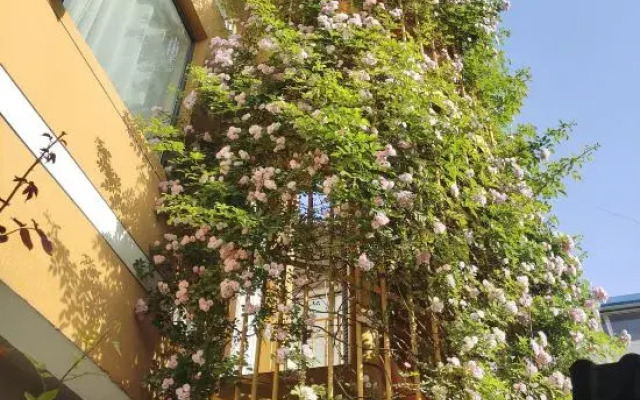 Home Inn Huaxuan Hotel Select (Zhoukou Taifuling Branch)