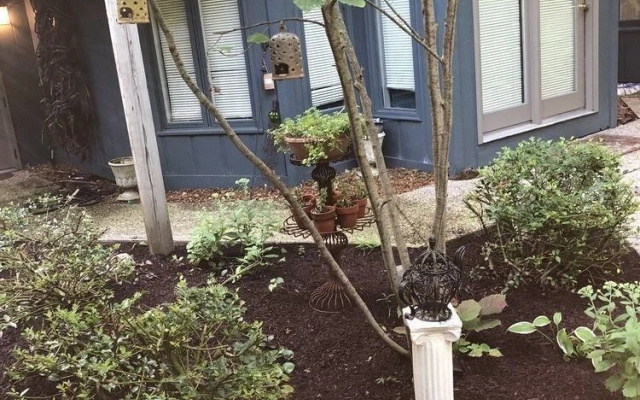 TreePot TeaHouse and Garden