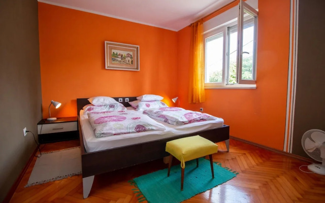 Apartment Un chat