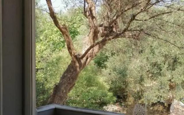 Marathias family House