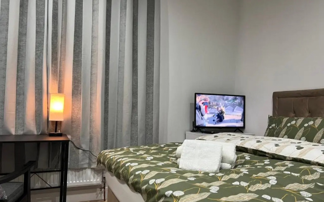 Entire Studio apartment - London