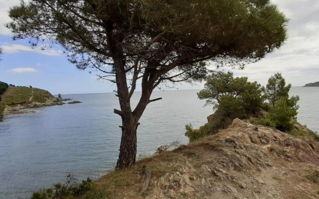 CAP d OSNE - BANYULS SUR MER - 2MN PLAGE