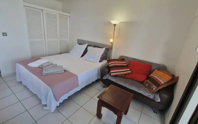 Studio magnifique vue mer - Bord de plage