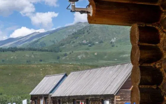 Tree Co Lodge