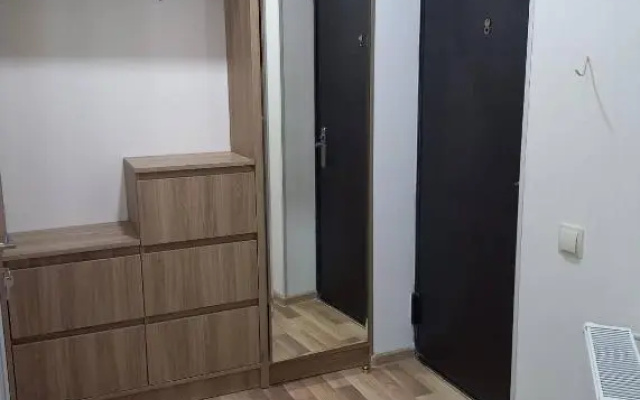 Beautiful house in Samgori