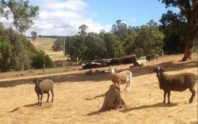 The Green Welly Stop