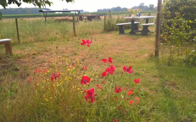boerderijkamer Zwanebloem