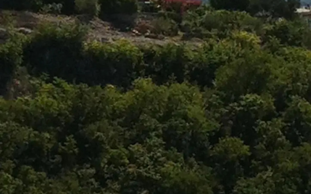 Villa Vanna