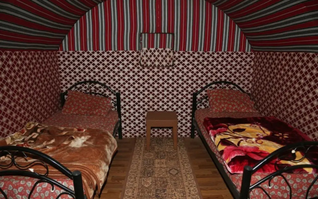 Bedouin habits tours camp