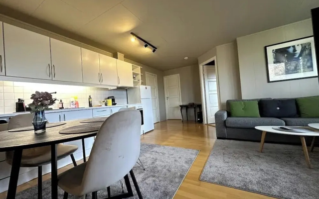 Aurora Borealis Apartment - Sleeps 3 - Parking