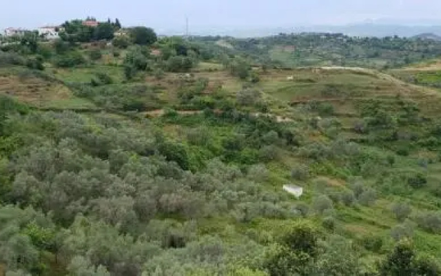 Kodra e Kuajve