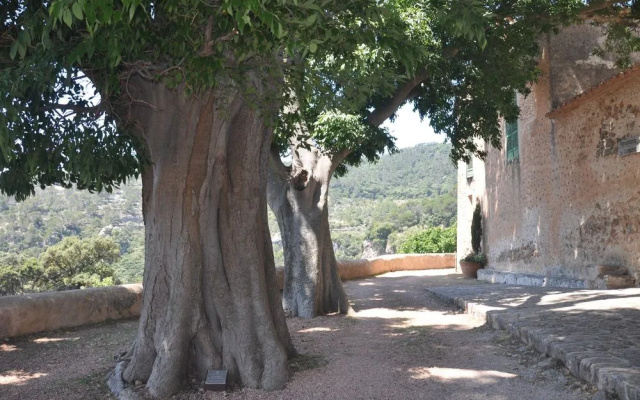 Sa Campaneta Agroturismo