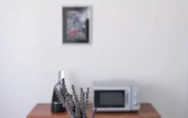 Apartment Karin