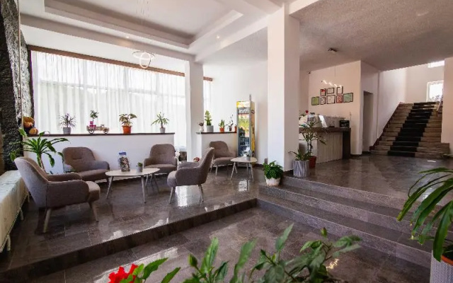 Vila Ursul Negru