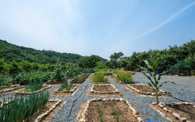 Xiangwang Courtyard (Tianjin Jizhou Limutai)