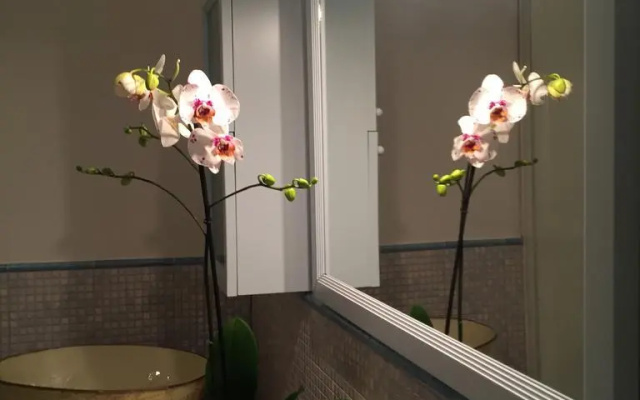 Angiola'S Home