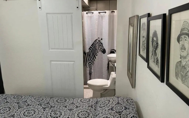 Zebra Studio