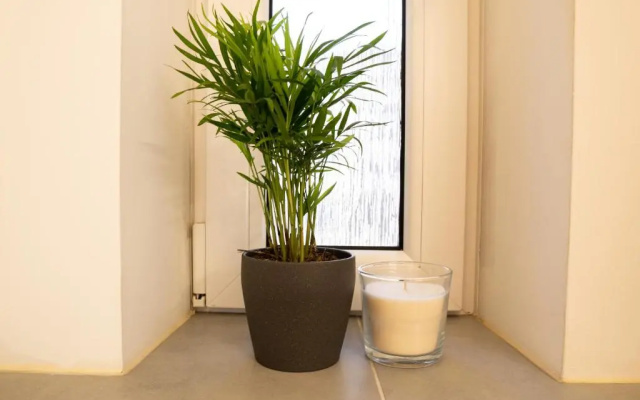 FULL HOUSE Studios - Blue Apartment - NETFLIX, WiFi inkl