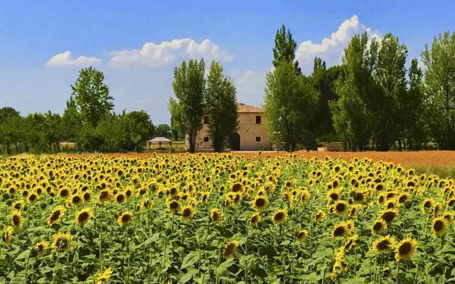 Villa Licinia