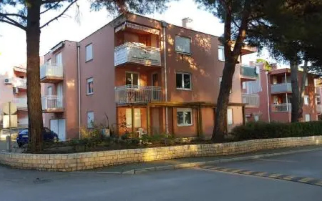 Apartment Janez