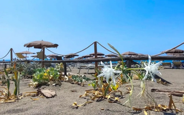 Levante Deluxe Marina di Bibbona