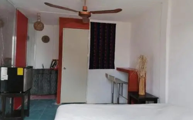 casa las palmas