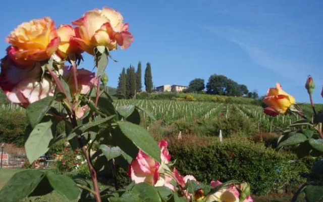 Villa Buonasera Agriturismo