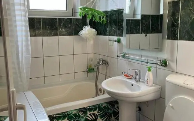 Miha's Apartament Sulina