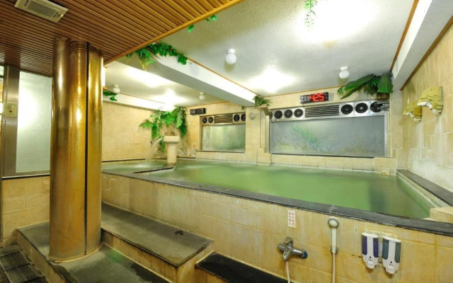 Baron's Hot Spring Hotel