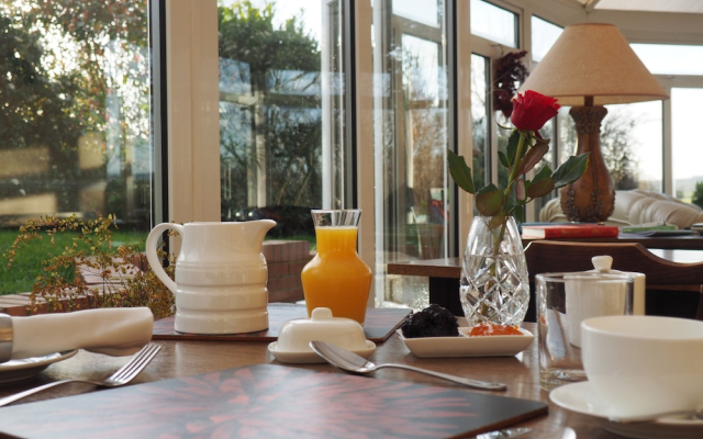 Elmfield House B&B