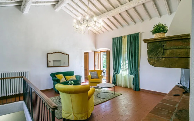 Oliveta a Retreat Surrounded by Olive Trees