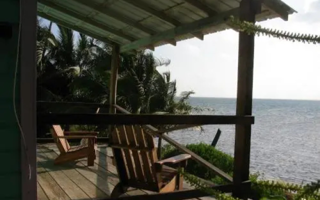 coconut grove