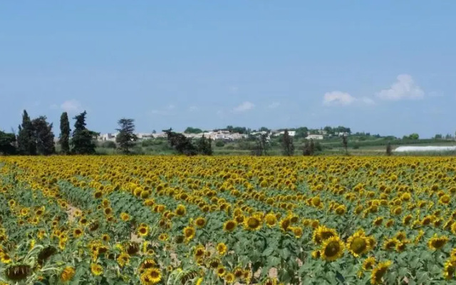 Villa Manet Portiragnes