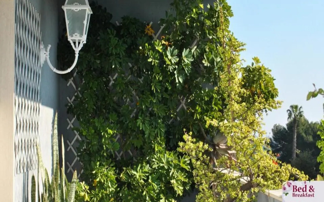 Bed and Breakfast Silvana