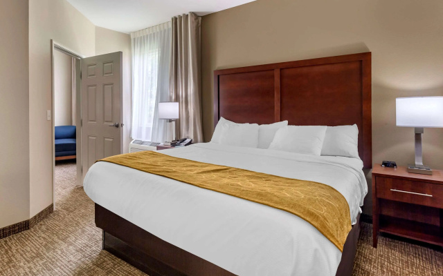 Comfort Suites Clarksville near Governors Square Mall