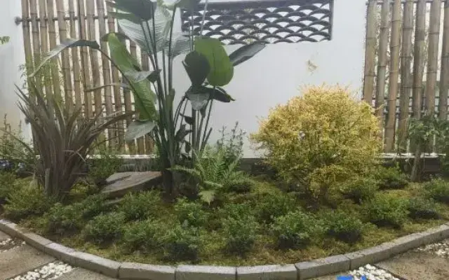Zhugeliang Homestay