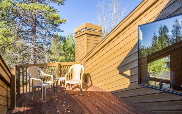 Yellow Pine 39