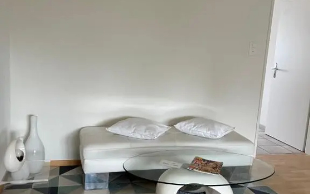 Amazing lakeview flat Horn