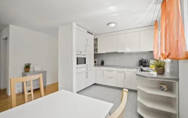 Apartment Moser