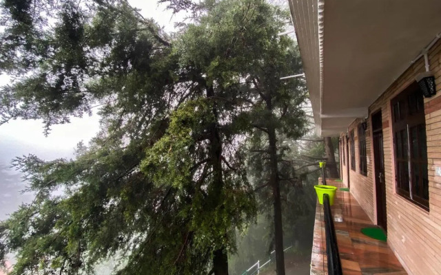 Jakhu Vibes | Valley-View Rooms