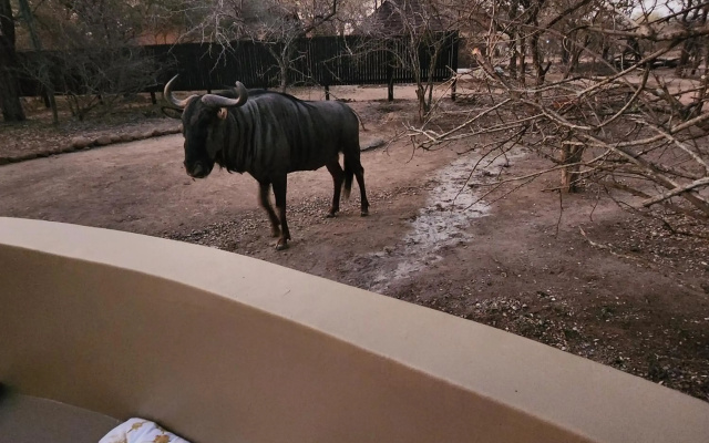 Kudus Crest Bush Retreat